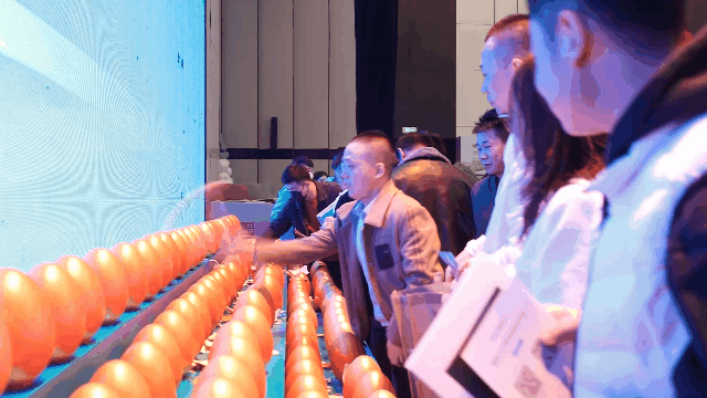 tutieshi_640x360_1s (1).gif tutieshi_640x360_1s (1).gif